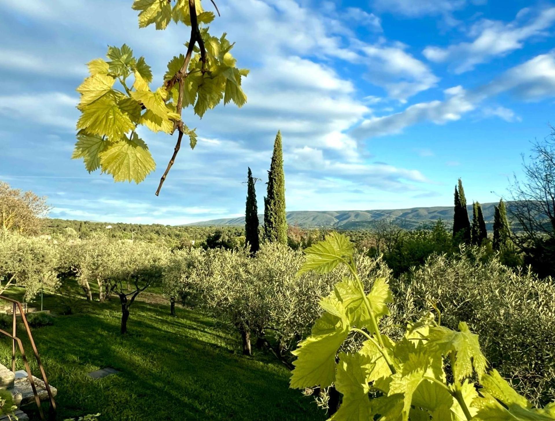 Provence Km28 Bed & Breakfast Gordes Luaran gambar