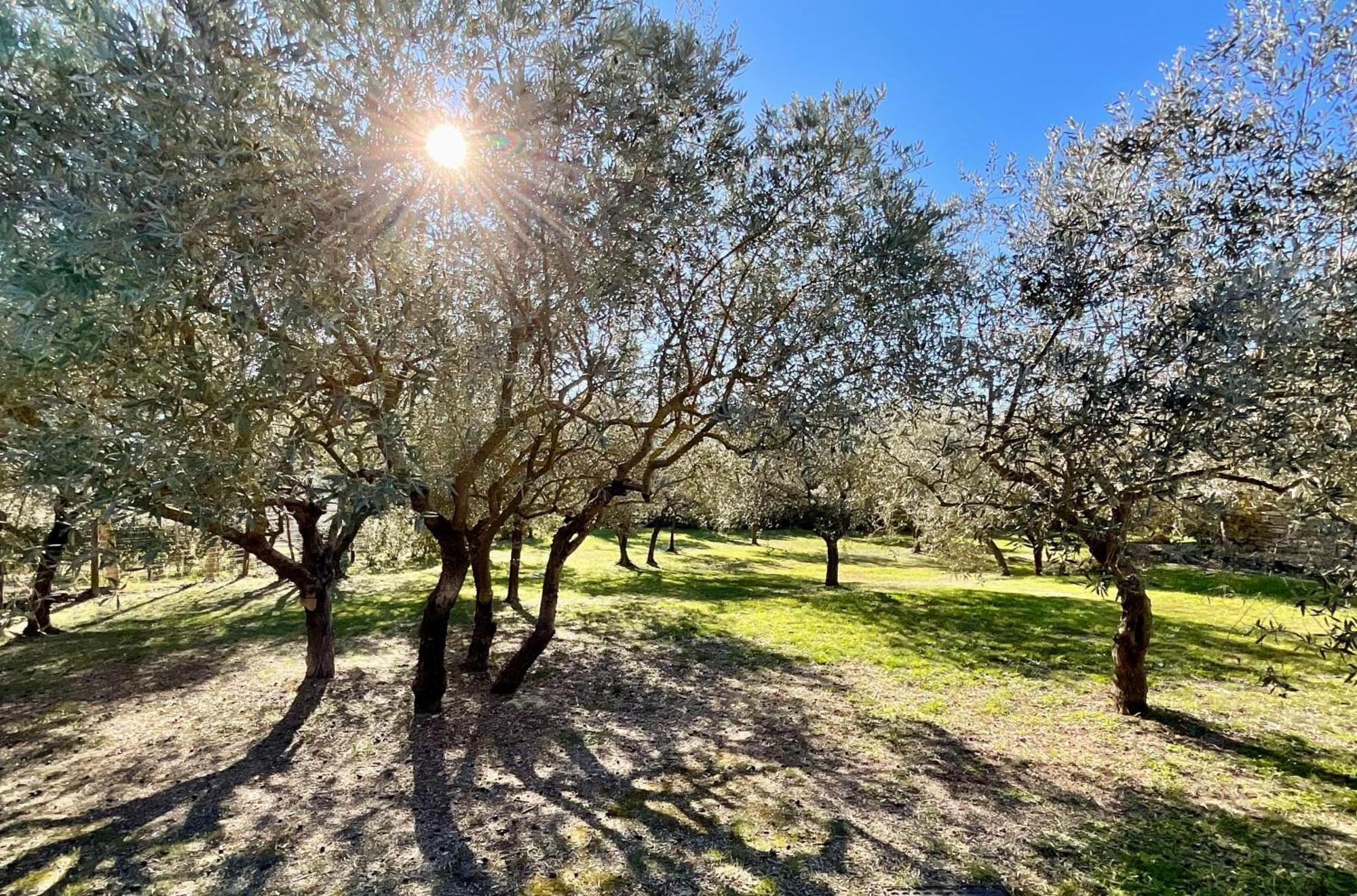 Provence Km28 Bed & Breakfast Gordes Luaran gambar