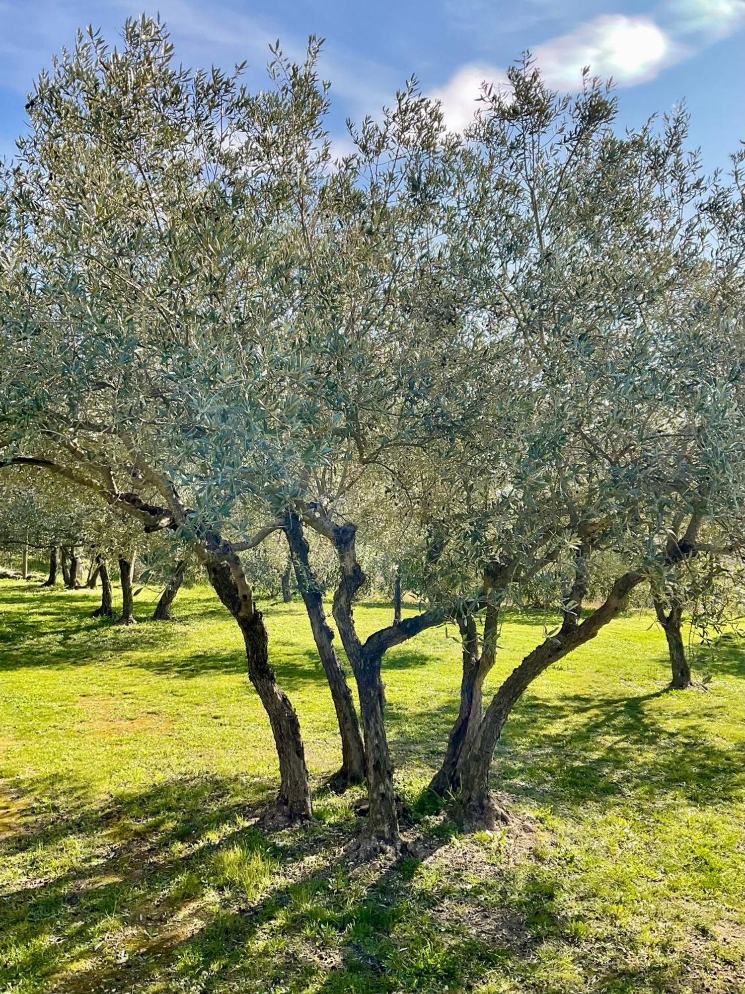 Provence Km28 Bed & Breakfast Gordes Luaran gambar